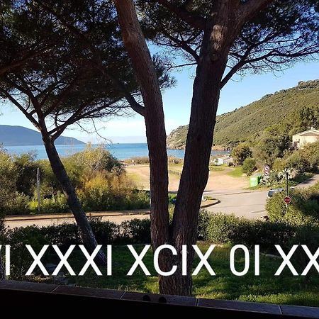 Maison De 4 Chambres De Front De Mer Corse-Du-Sud Appietto Екстериор снимка