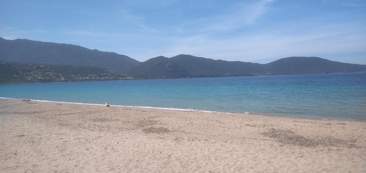 Maison De 4 Chambres De Front De Mer Corse-Du-Sud Appietto Екстериор снимка